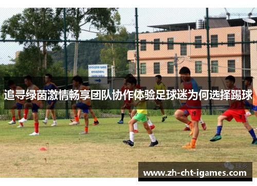 追寻绿茵激情畅享团队协作体验足球迷为何选择踢球